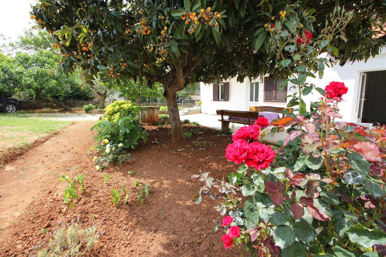 Casa Lidija Apartamento Rovinj Exterior foto